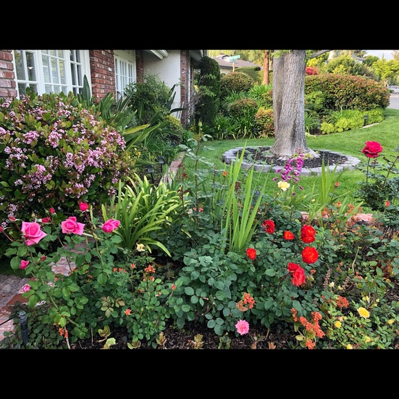 Meet your Posher, Bobbi - Picture 4 of 8